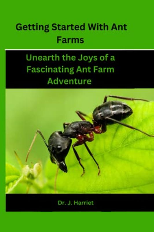 Getting Started With Ant Farms: Unearth the Joys of a Fascinating Ant Farm Adventure