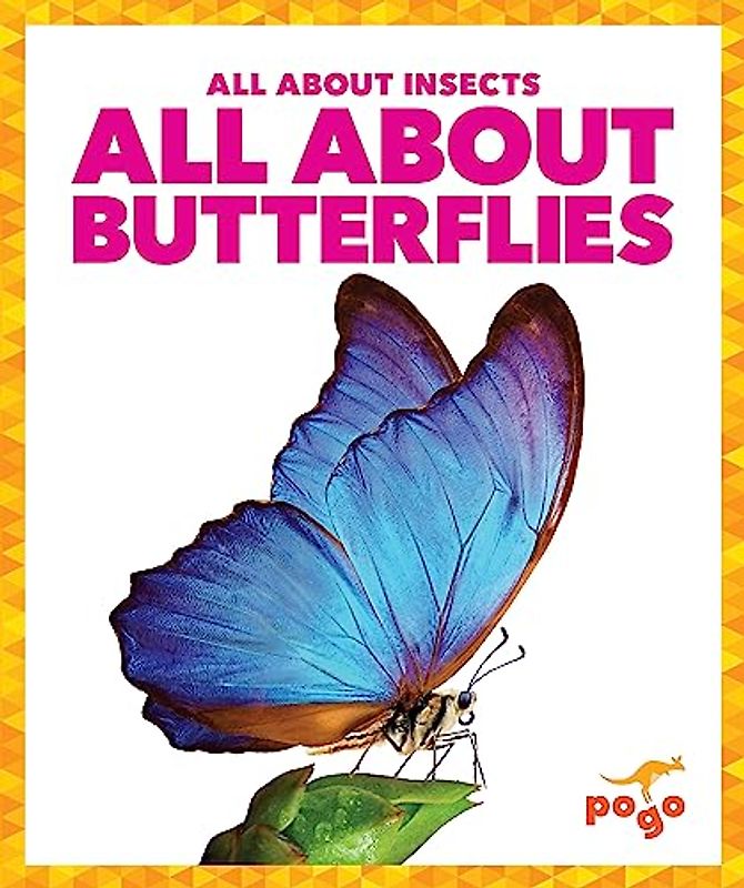 All about Butterflies