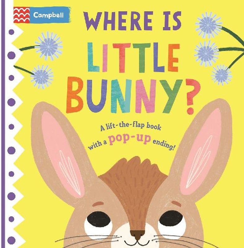 Where Is Little Bunny?
