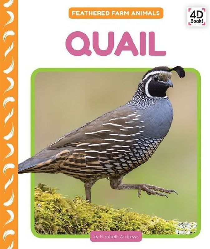 Quail