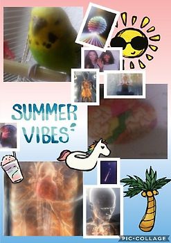 Außerirdische Lebensformen,  der Mars und 2000 Jahre Kirchengeschichte. Botschaft vom Himmel. Kurzgeschichte mit philosophischen Ausblick.Erz