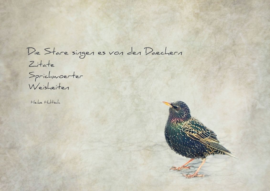 Die Stare singen es von den Dächern (Posterbuch DIN A3 quer)