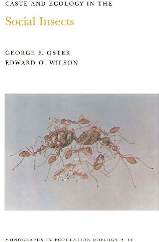 Caste and Ecology in the Social Insects