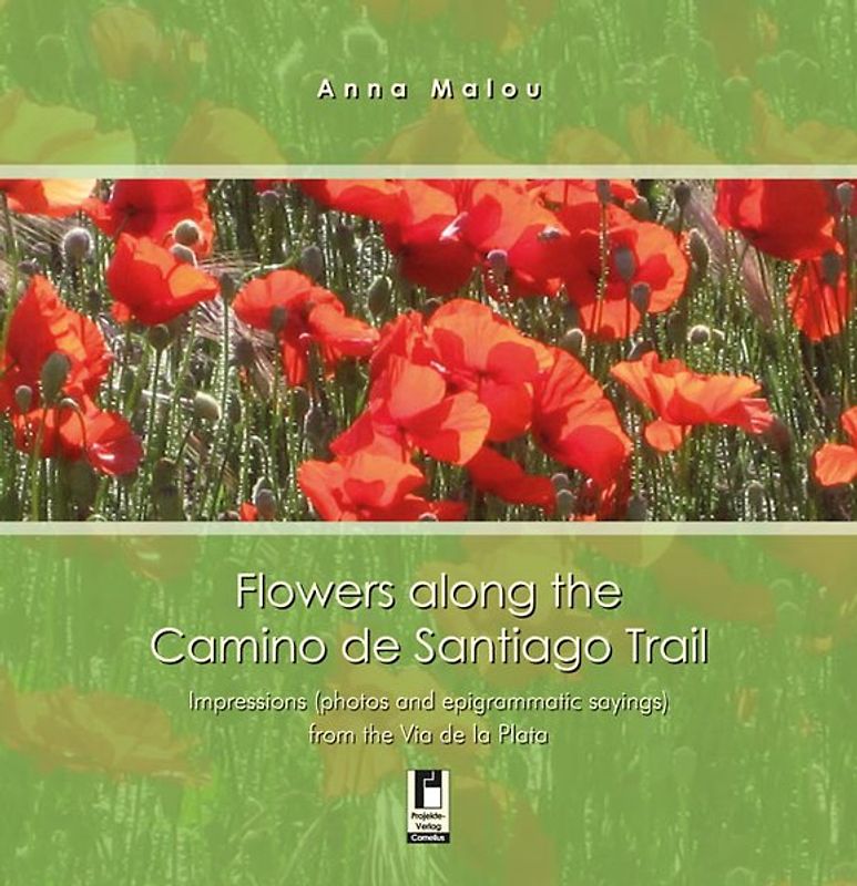 Flowers along the Camino de Santiago Trail