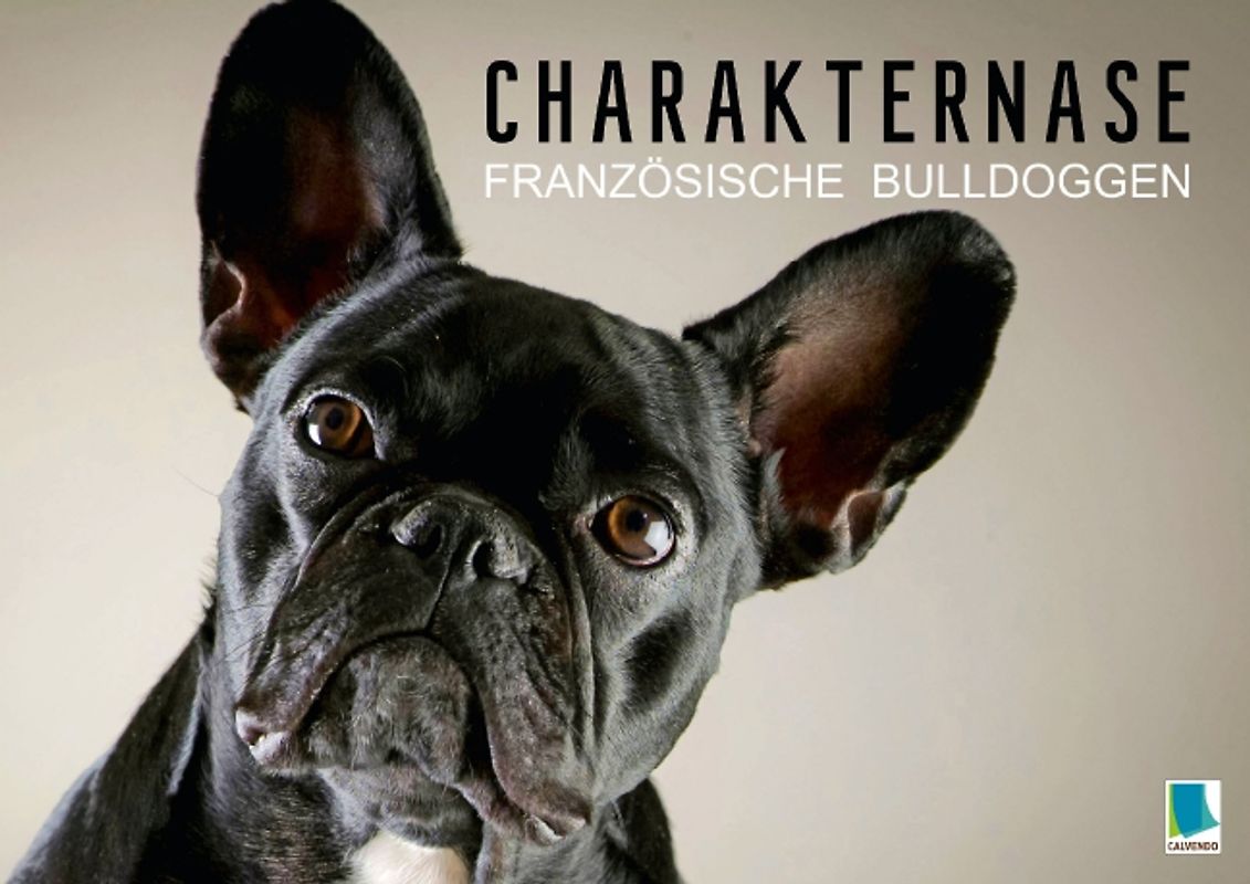 Charakternase: Französische Bulldoggen (Posterbuch DIN A3 quer)