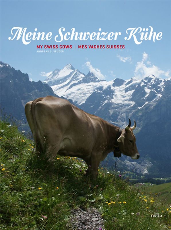 Meine Schweizer Kühe. My Swiss cows. Mes vaches suisses.