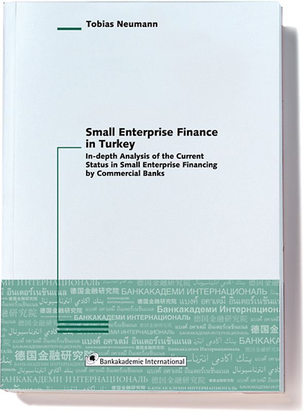 Small Enterprise Finance in Turkey