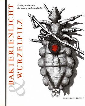 Bakterienlicht & Wurzelpilz