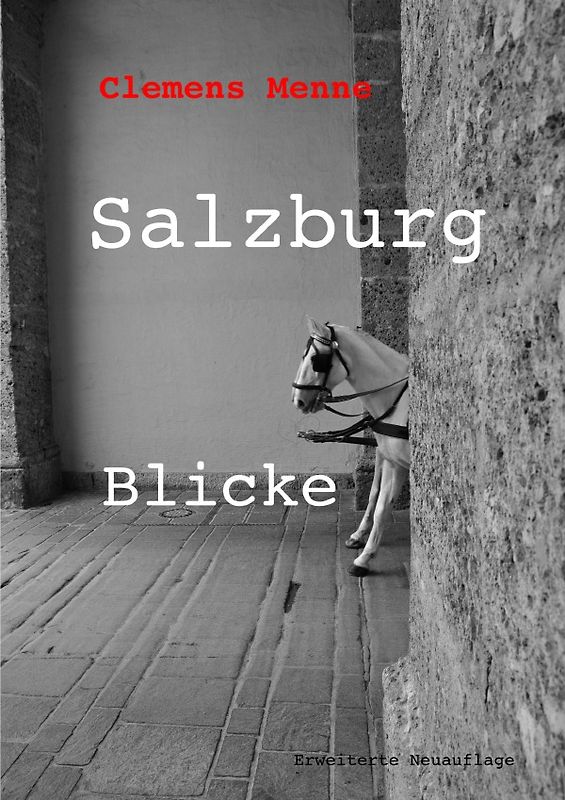 Salzburg Blicke
