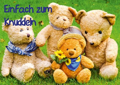 Einfach zum Knuddeln. (Posterbuch DIN A4 quer)