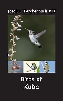 Birds of Kuba
