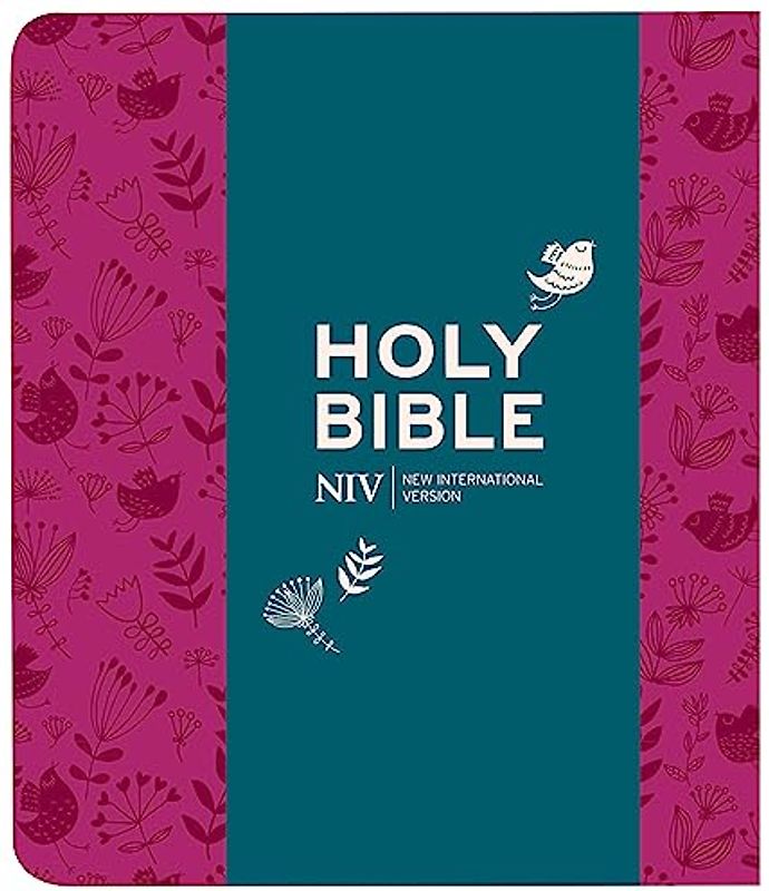 NIV Journalling Plum Soft-tone Bible with Clasp (New International Version)