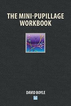 The Mini-Pupillage Workbook