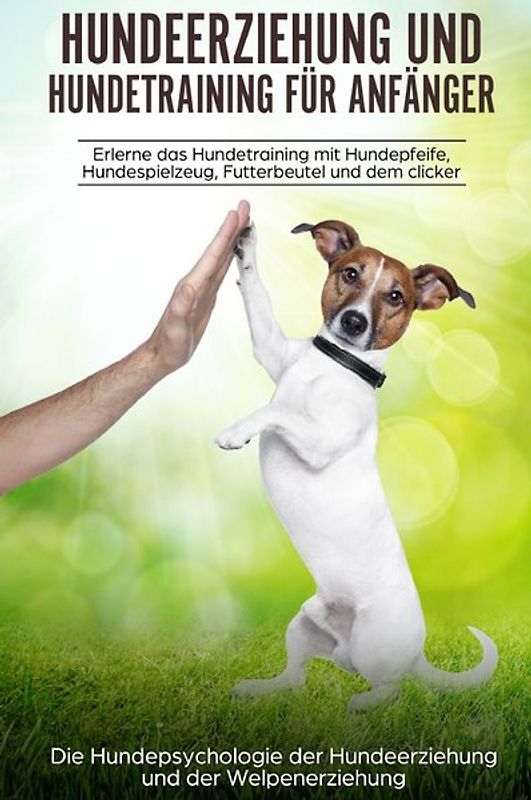 Hundeerziehung und Hundetraining für Anfänger