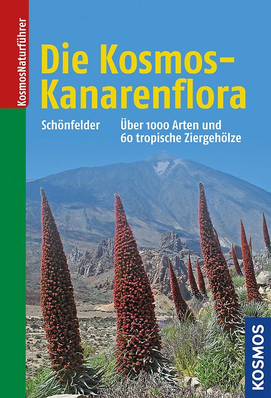 Die Kosmos-Kanarenflora