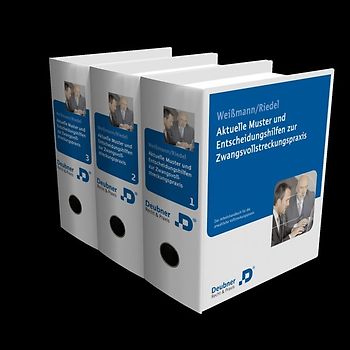 Aktuelle Muster und Entscheidungshilfen zur Zwangsvollstreckungspraxis