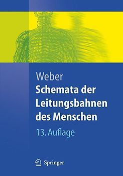 Schemata der Leitungsbahnen des Menschen