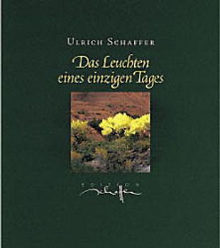 Das Leuchten eines einzigen Tages