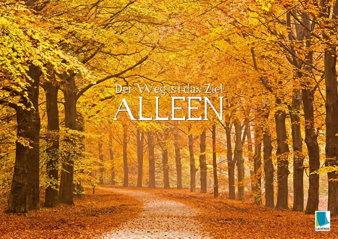 Der Weg ist das Ziel – Alleen (Posterbuch DIN A3 quer)