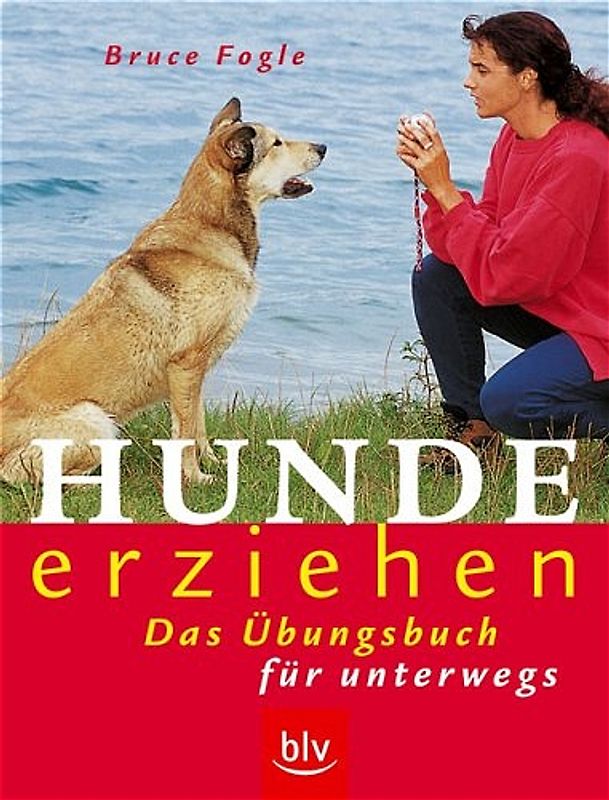 Hunde erziehen