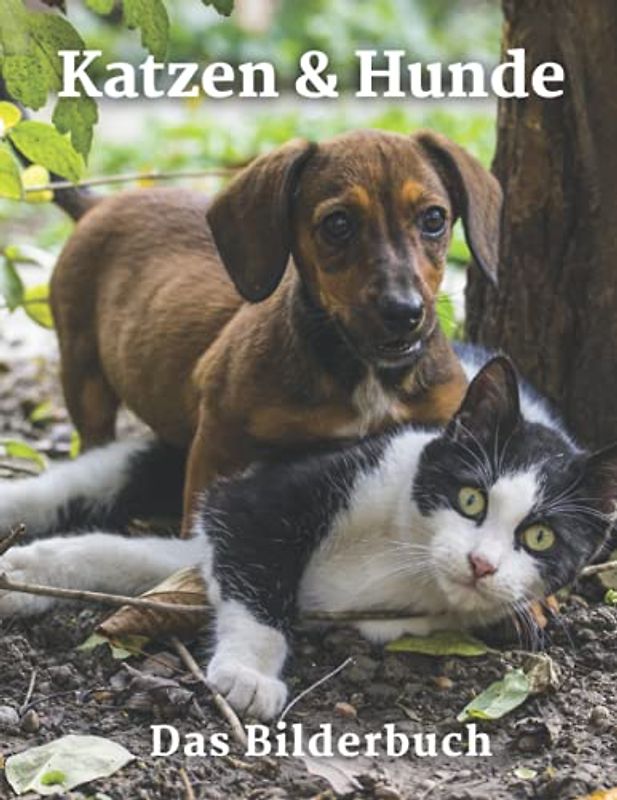 Katzen & Hunde: Das Bilderbuch von Katzen und Hunden für Senioren, Kinder, Alzheimer mit Demenz, (Fotobuch).