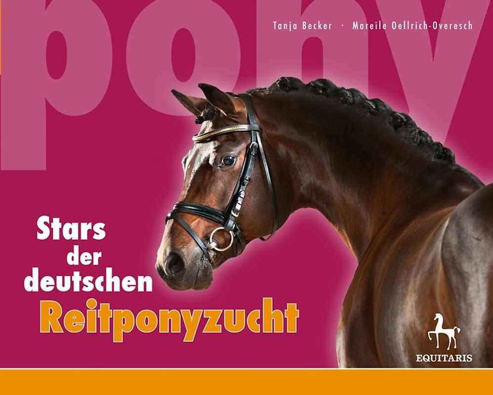 Stars der deutschen Reitponyzucht 4