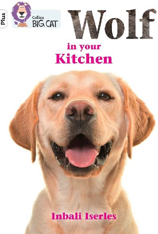 Wolf in your kitchen