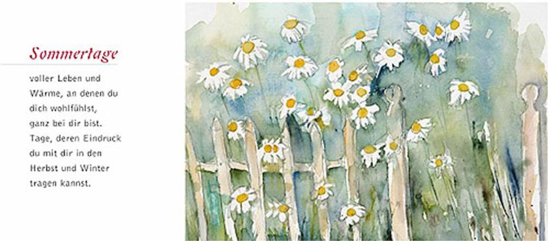 Zum neuen Jahr die besten Wünsche