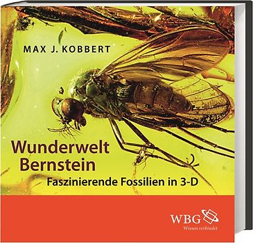 Wunderwelt Bernstein