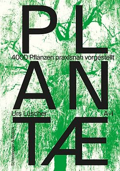 Plantae