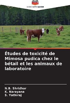Études de toxicité de Mimosa pudica chez le bétail et les animaux de laboratoire