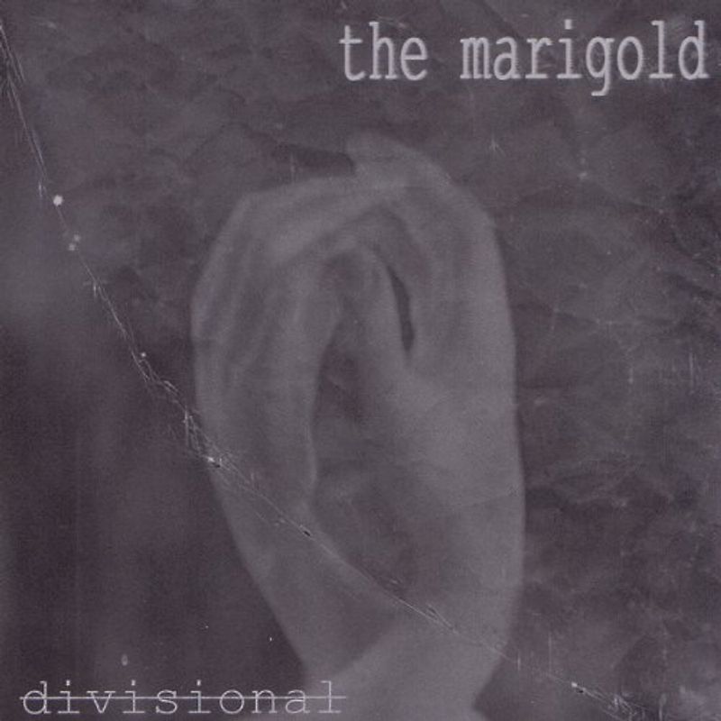 the Marigold - Divisional