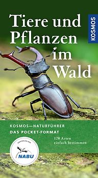 Tiere und Pflanzen im Wald