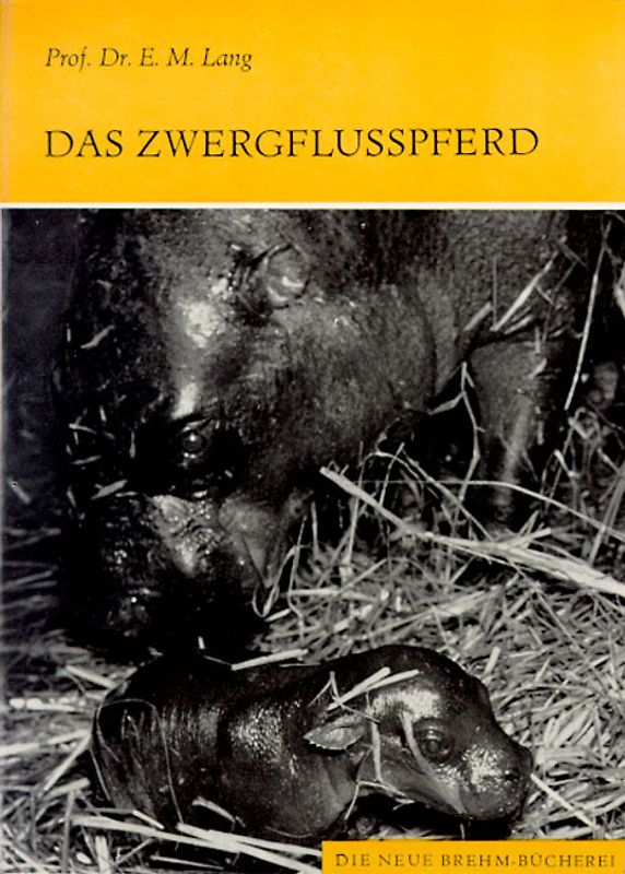 Das Zwergflußpferd
