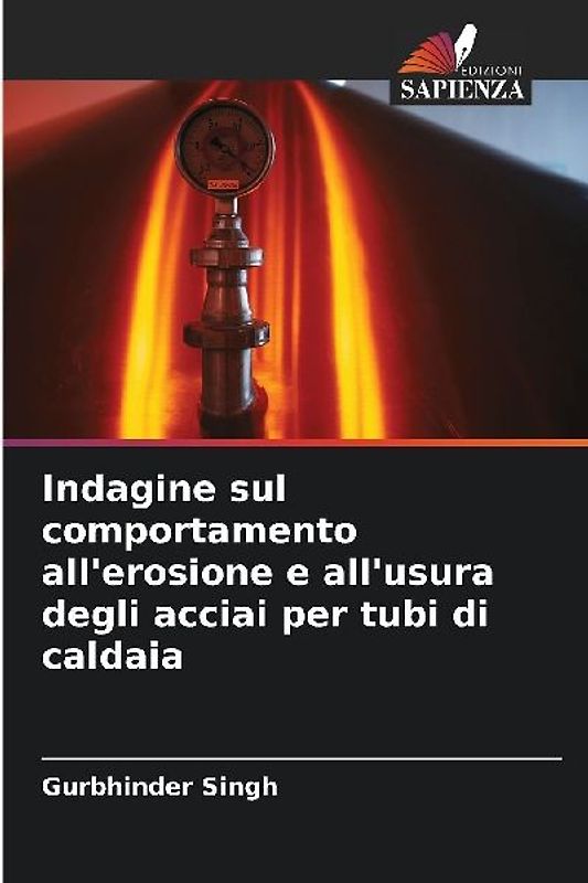 Indagine sul comportamento all'erosione e all'usura degli acciai per tubi di caldaia