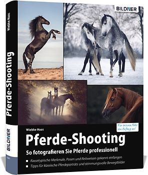 Pferde-Shooting