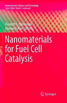 Nanomaterials for Fuel Cell Catalysis