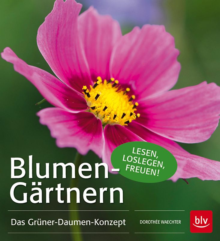 Blumen-Gärtnern