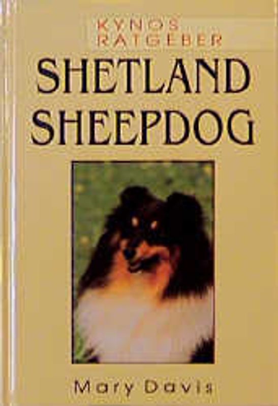 Shetland Sheepdog