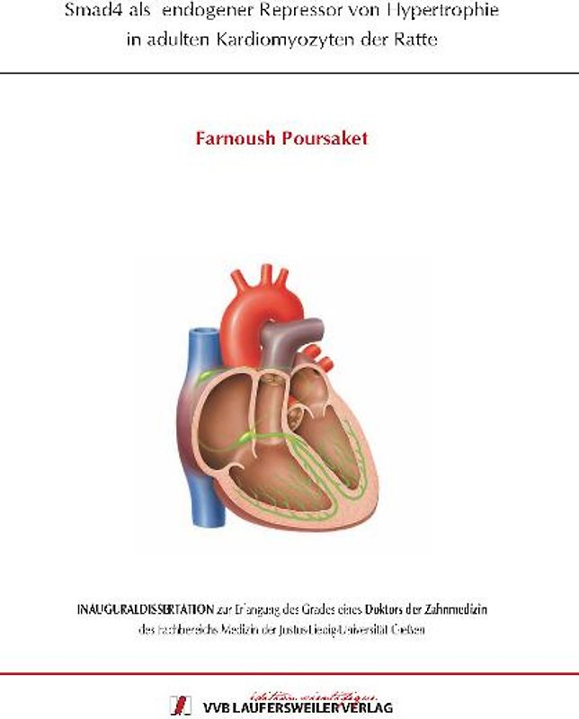 Smad4 als endogener Repressor von Hypertrophie in adulten Kardiomyozyten der Ratte