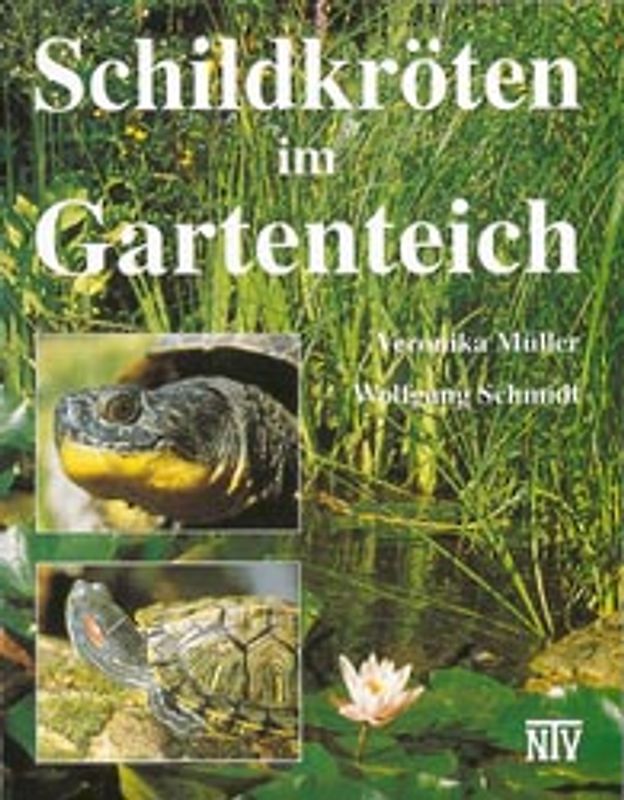 Schildkröten im Gartenteich