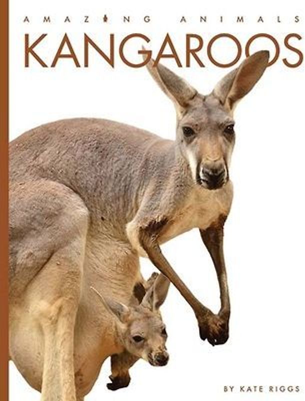 Kangaroos