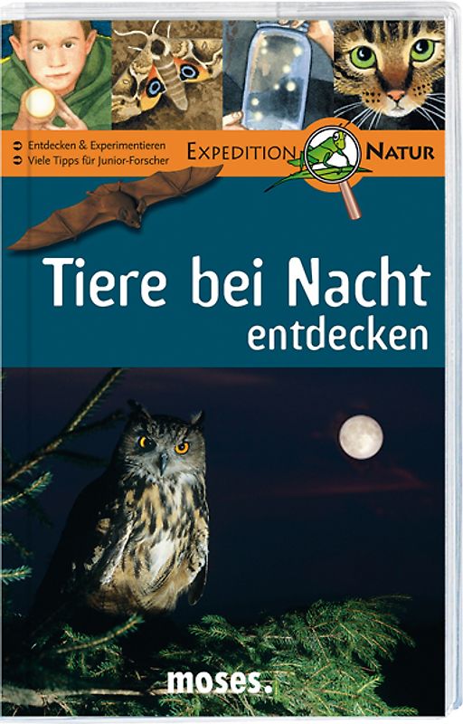 Tiere bei Nacht entdecken