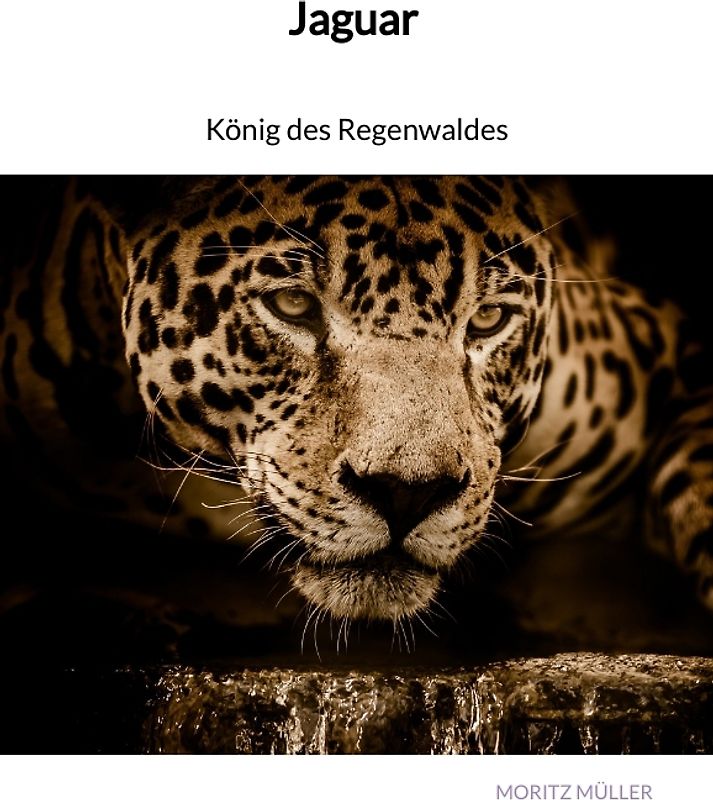 Jaguar - König des Regenwaldes