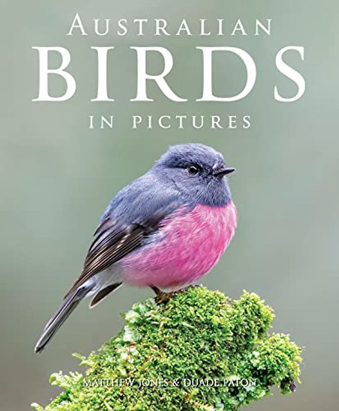 Australian Birds in Pictures