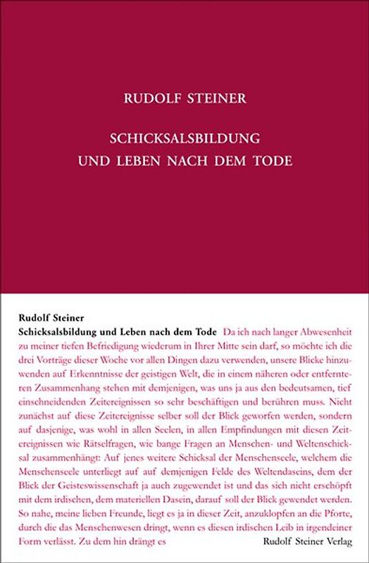 Schicksalsbildung und Leben nach dem Tode