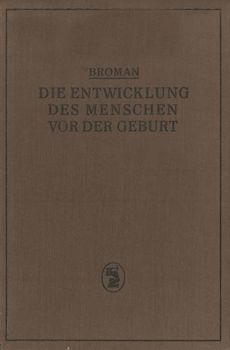 Die Entwicklung des Menschen vor der Geburt