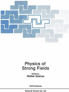 Physics of Strong Fields