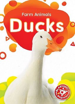 Ducks