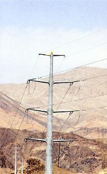 Canell, Nina.To Let Stay Projecting as a Bit of Branch on a Log by Not Chopping It Off